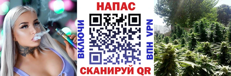 Бошки Шишки индика  Лихославль 